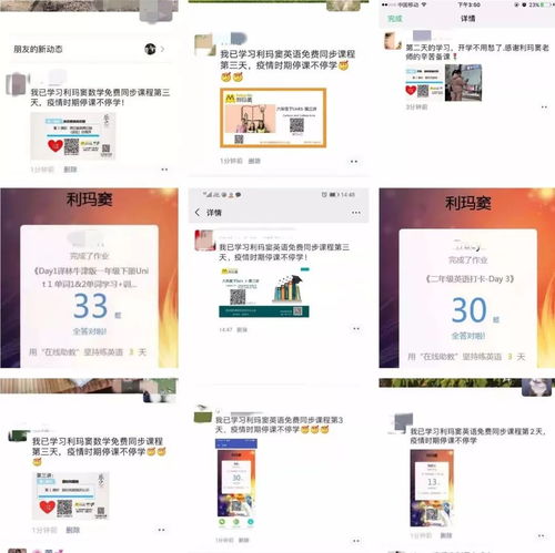 好評刷屏的背后 利瑪竇語數(shù)外同步課堂，用愛澆灌，用服務(wù)說話